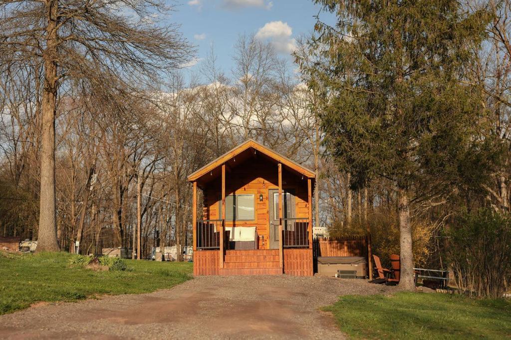 Campsite Route 6 Gaines
